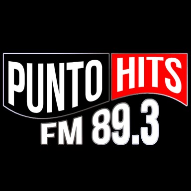 Punto Hits FM