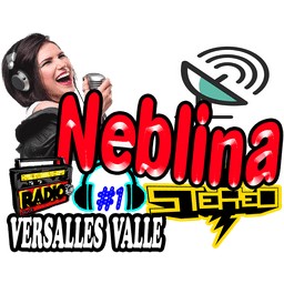 Neblina Stereo