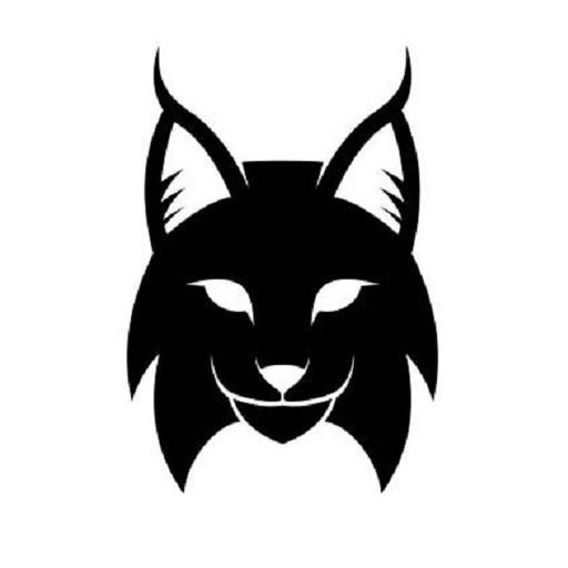 Rádio Lince